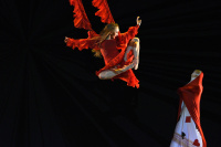 MOMIX «Alice» (2026)