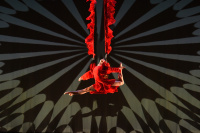 MOMIX «Alice» (2026)