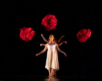 MOMIX «Alice» (2026)