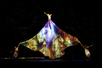 MOMIX «Alice» (2026)