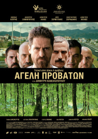 Herd of Sheep (2021)