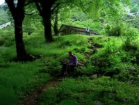 In the Forest (2010)