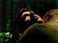 In the Forest (2010)