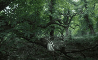 Unsolved/Entwined (2019)