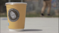 Coffee is always a good idea! (2024)
