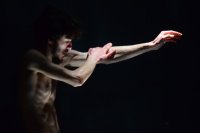 Dimitris Flea