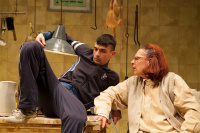 Η ΒΑΣΙΛΙΣΣΑ ΤΗΣ ΟΜΟΡΦΙΑΣ (2015)