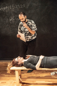 Rigolios the Journey of a Stripe (2014)
