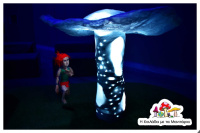 The valley with mushrooms 2023