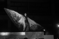 Summer Night's Dream (2019)