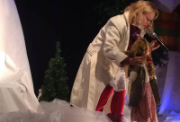 Magic Christmas Fairy Tale (2016)