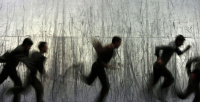 2 (2006)