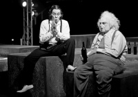 The Insane and the Insane (2016)