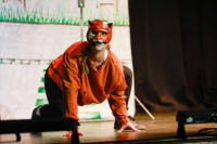 Strays (2024)