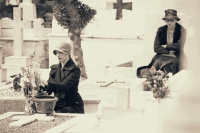 Αγαπημένε μου Χέρμπερτ (2016)
