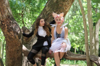 Alice (2017)