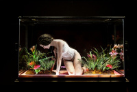 Amalia Melancholia, the queen of the palm trees (2022)