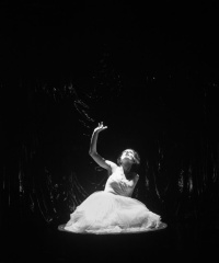Οι απόψεις ενός κλόουν (2014)