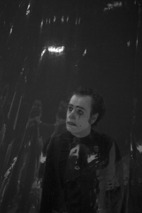 Οι απόψεις ενός κλόουν (2014)