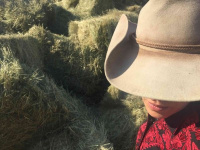 Late: the song of a cowboy 2016