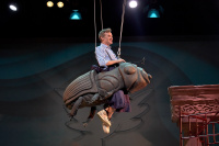 Stories of Grandpa Aristophanes (2018)