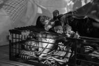 Ατρείδες: τετράδια κρίσης (2015)
