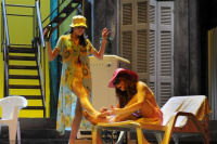 Η αυλή των θαυμάτων (2011)