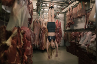 Αξύριστα πηγούνια (2019)