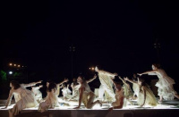 Frogs (2014)