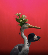 Bibilolo (2021)