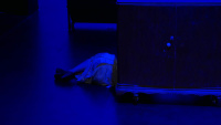 D_i_s_P_l_a_c_e_d (2017)
