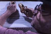 An elephant in the room (2019)