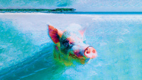Animal Farm 2021