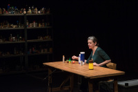 All Shakespeare at one table (2017)
