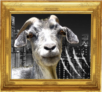 The goat or who Sylvia is (2021)
