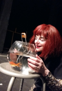 The fishbowl (2017)