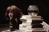 The fishbowl (2017)