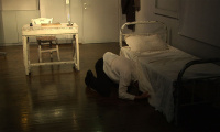 The diary of a madman (2015)