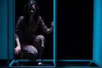 Η Μόνικα Βίτι δεν θυμάται πια (2019)