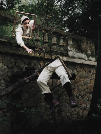 Into the woods (2020)