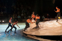 Hippolytus (2014)