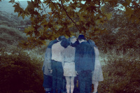 Stories from the Vienna Forest (2019)