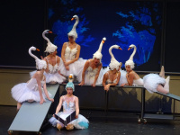 STELLA MICHAILIDOU: ISADORA DAK (2019)