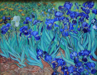 The garden of Rapacini (2017)
