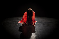 RED Three chapters from a woman's life (2023)