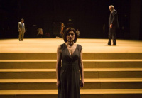 Μαρία Ναυπλιώτου - Η κυρία από τη θάλασσα, 2010 (θέατρο)