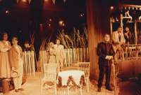 The lady from the sea (1994)