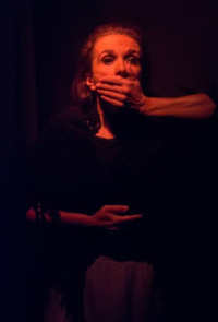 Μαίρη Βιδάλη - Λέλα Καραγιάννη-Η μάνα της αντίστασης, 2017 (θέατρο)