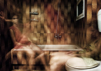 Lula (2016)