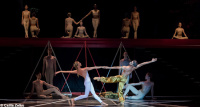 The Magic Flute (1981)